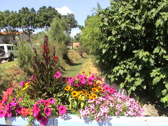 Décoration florale